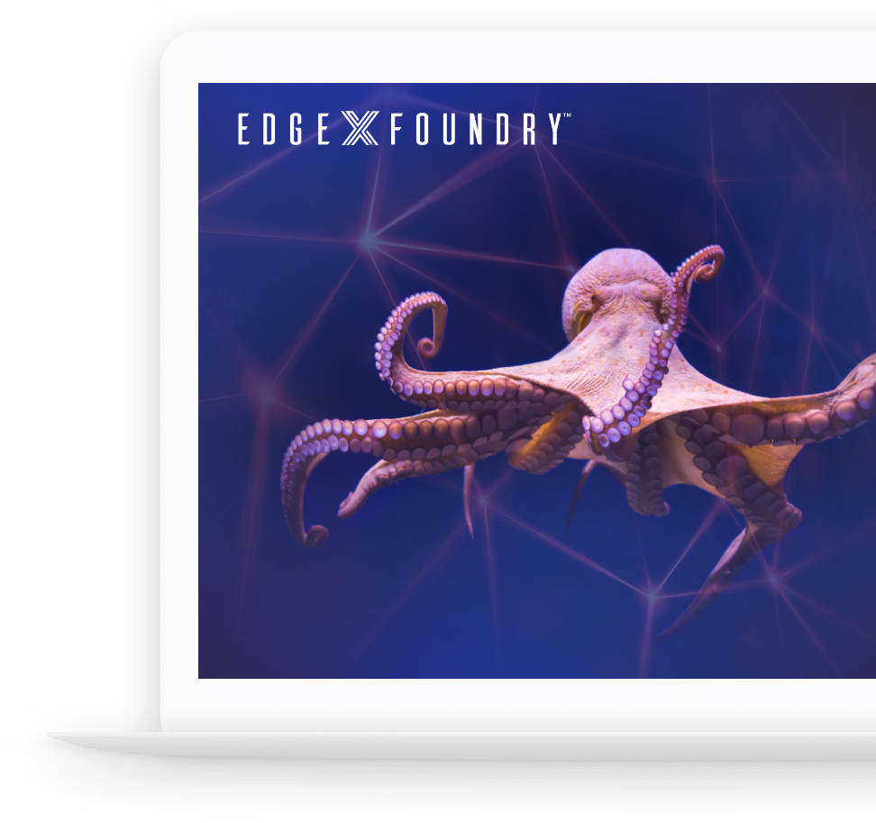EdgeX Octopus