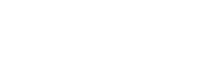 FLIR ARTICLE COVER Flir Article